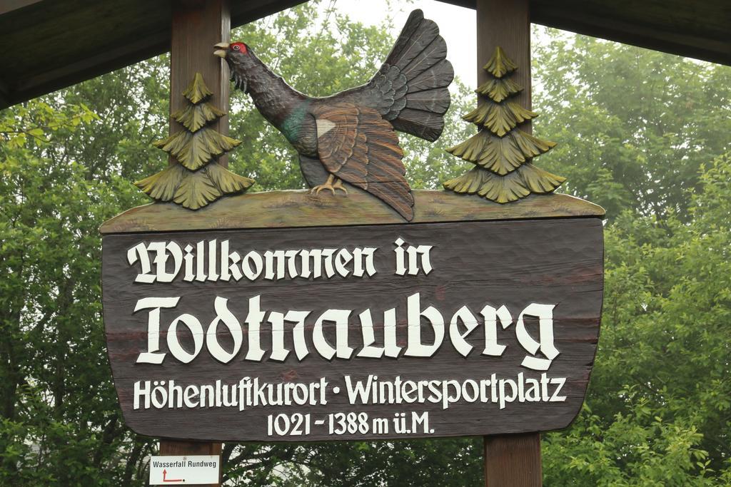 Todnauerberg Hotel Im Schwarzwald Todtnauberg Esterno foto