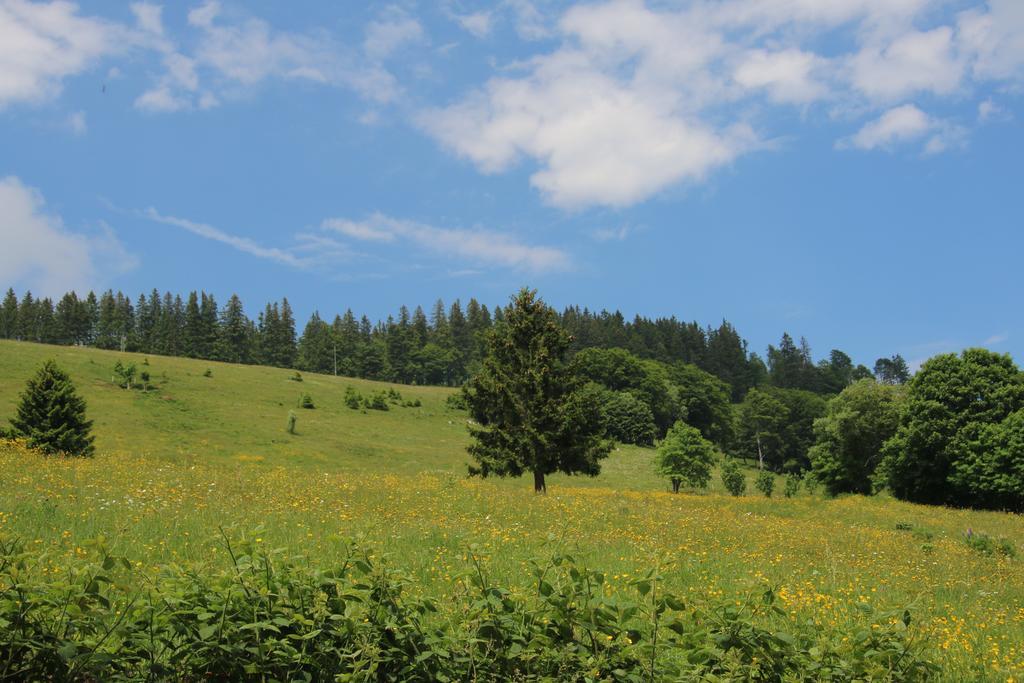 Todnauerberg Hotel Im Schwarzwald Todtnauberg Esterno foto