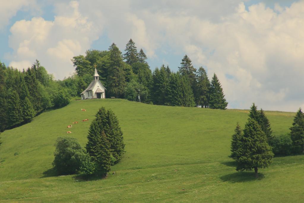 Todnauerberg Hotel Im Schwarzwald Todtnauberg Esterno foto