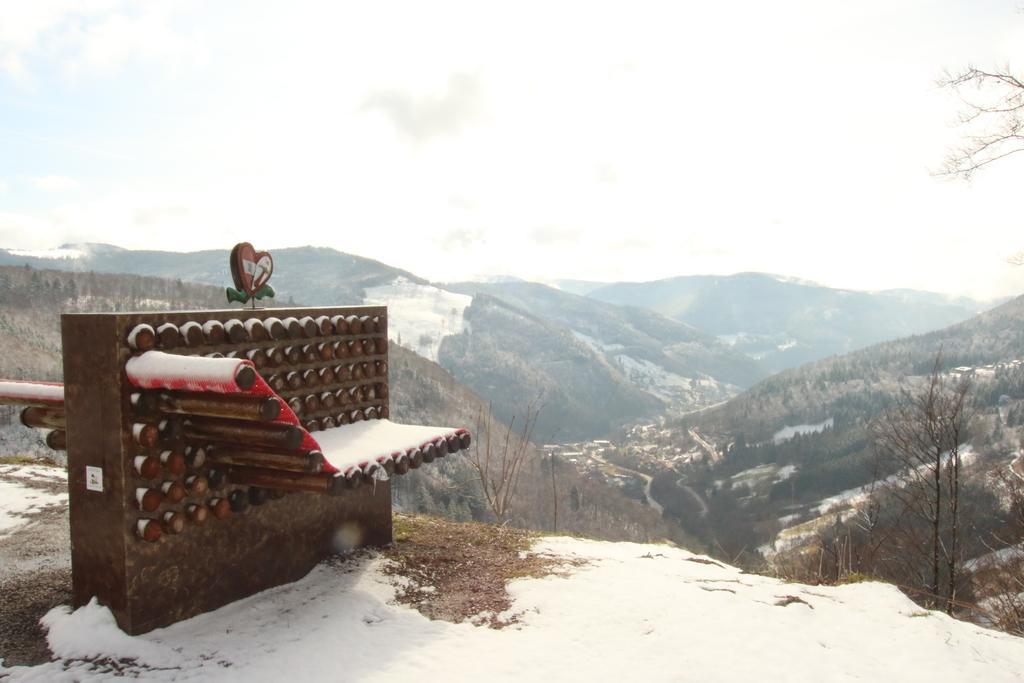Todnauerberg Hotel Im Schwarzwald Todtnauberg Esterno foto